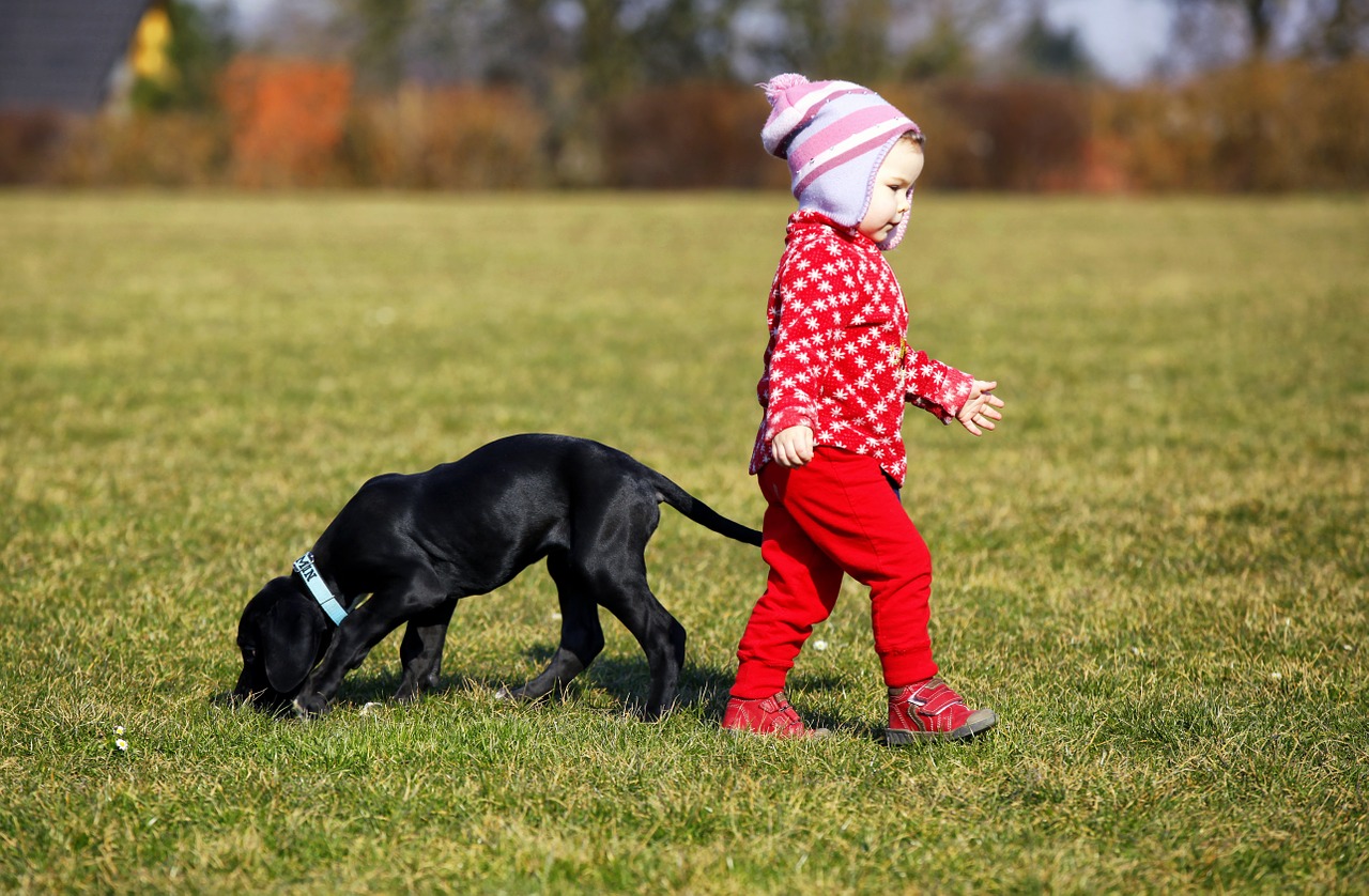 Bebes, niños y perros