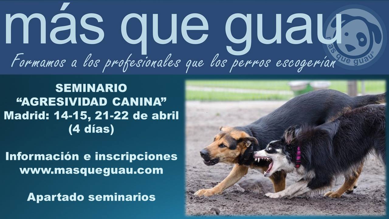Seminario «Agresividad Canina»