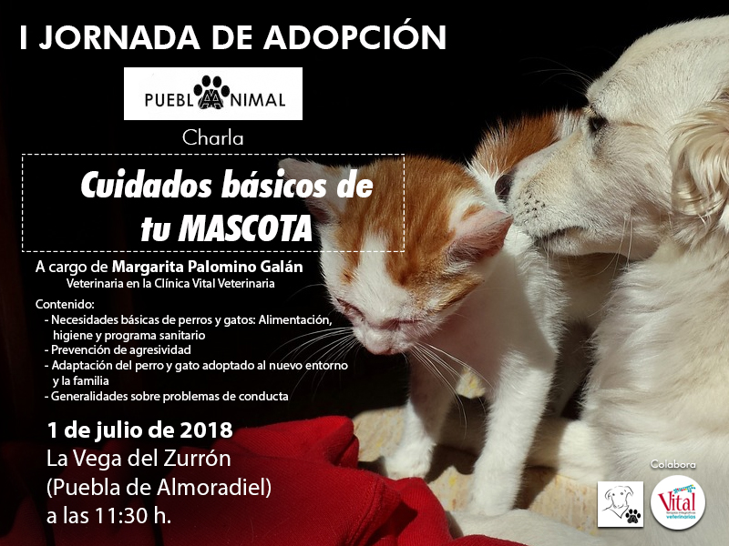 Charla: Cuidados básicos de tu mascota