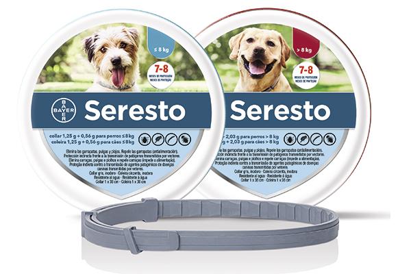 Seresto®, clave para repeler la leishmaniosis canina