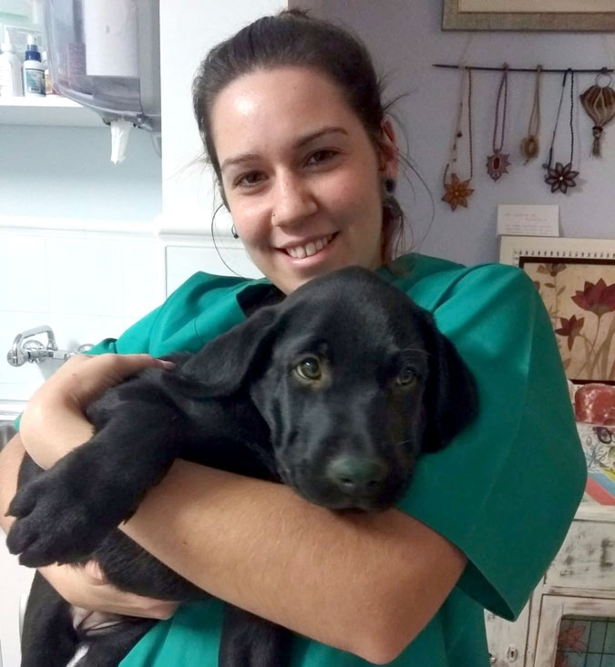 Veterinario en Alcázar de San Juan