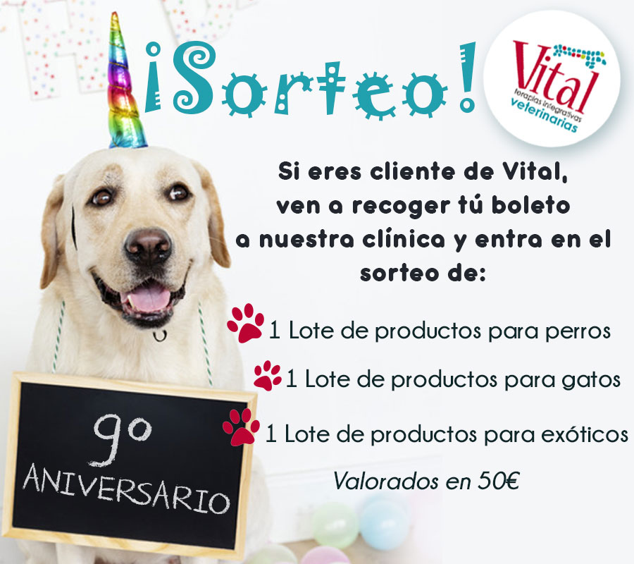 9º aniversario de Vital Veterinaria