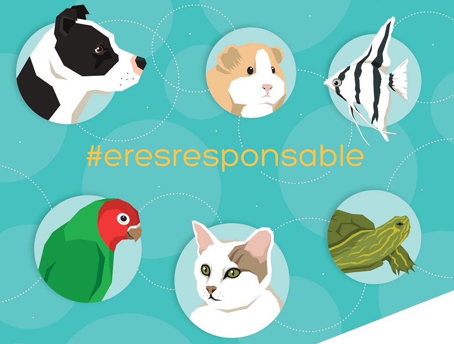 Adquisición responsable de animales