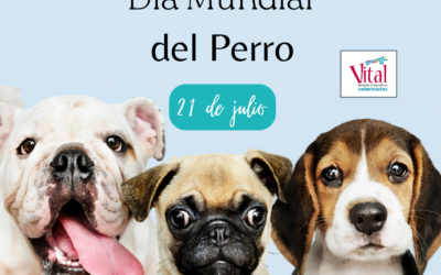 ¡Día Mundial del perro!