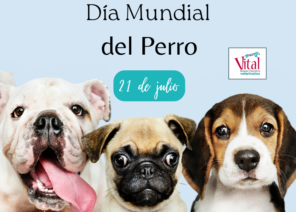 Día Mundial del perro