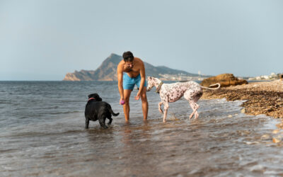 Playas caninas 2024