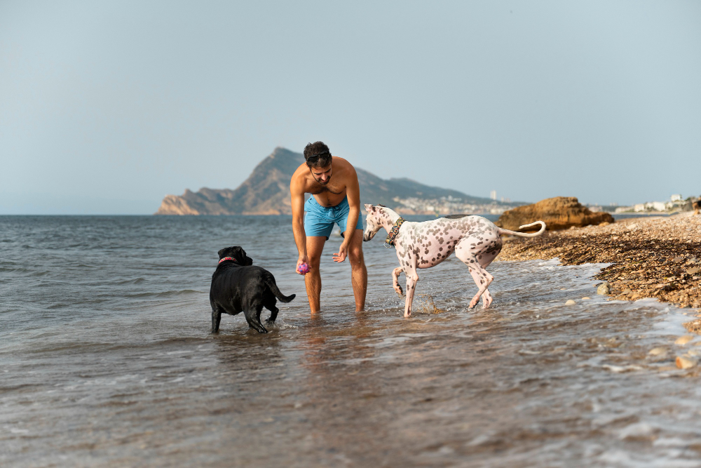 Playas caninas 2024