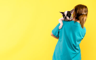 ¿Qué supone la nueva normativa de medicamentos veterinarios?