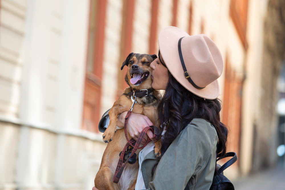 Viajar con perros gatos y hurones al extranjero