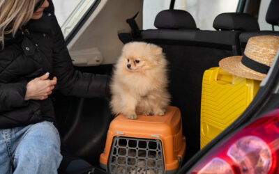 Viajar con mascotas en la UE cambiará a partir de abril de 2026