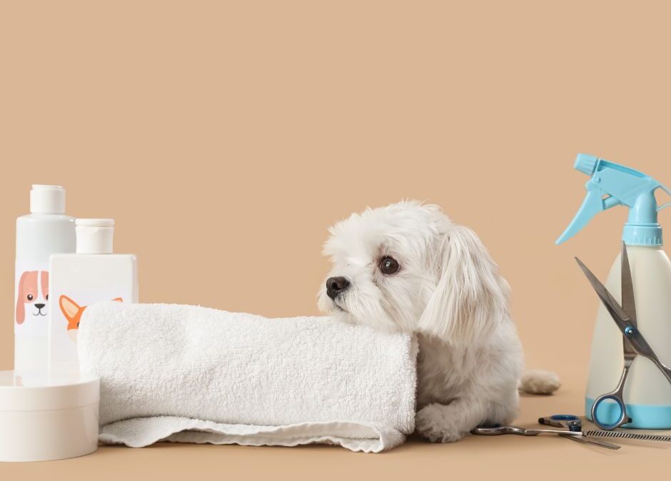 Beneficios de la peluquería canina más allá de la estética